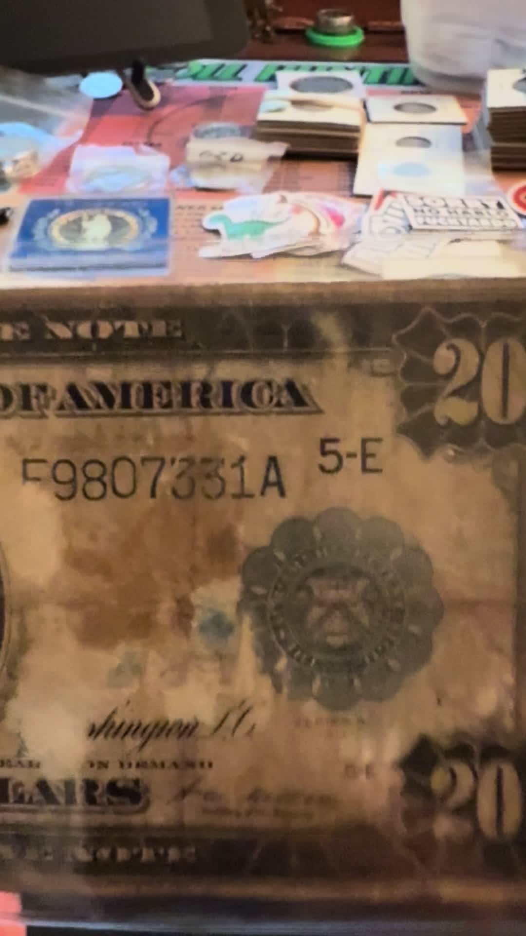 @beardedflyguy775