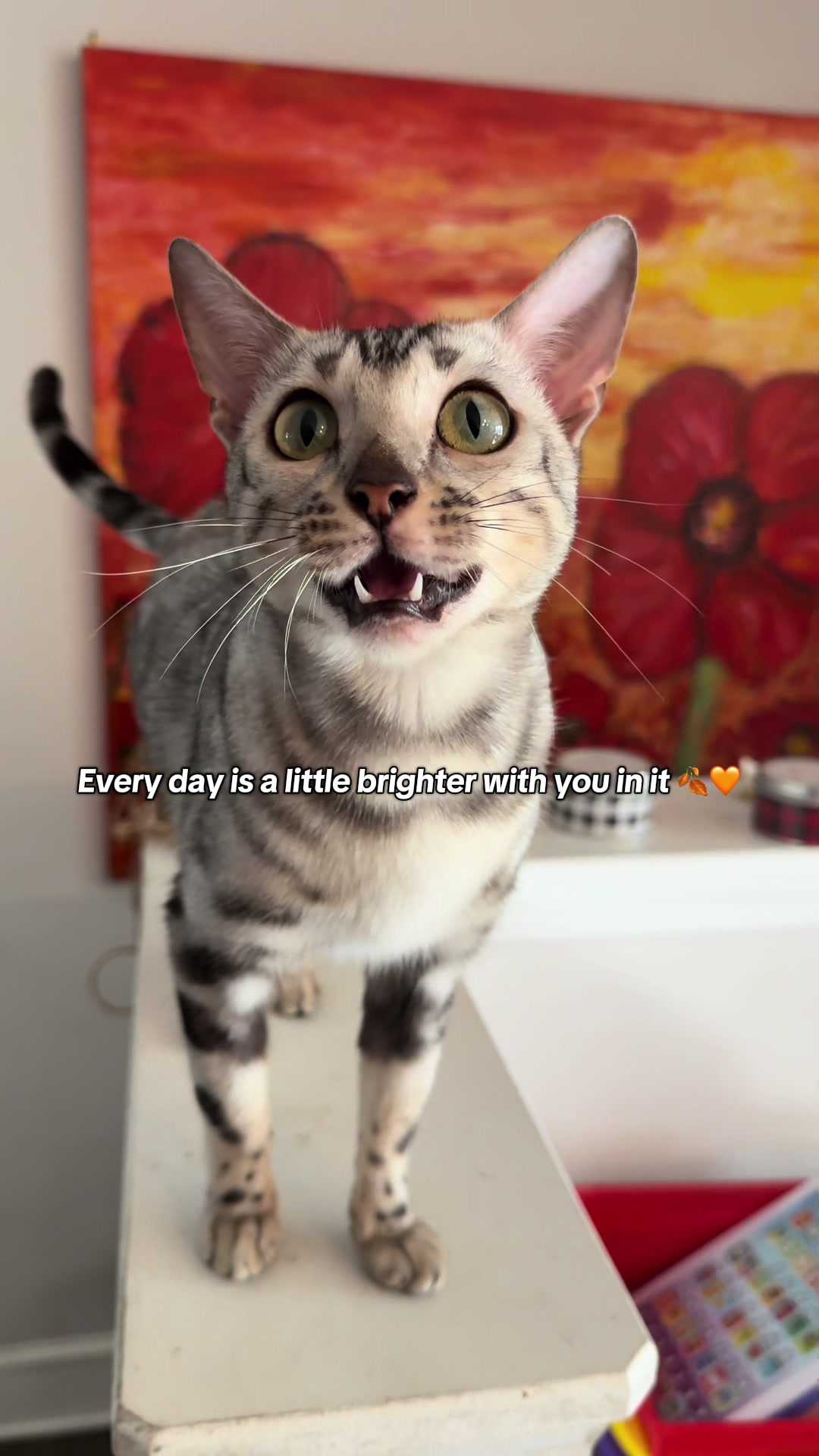 @Sagethebengal