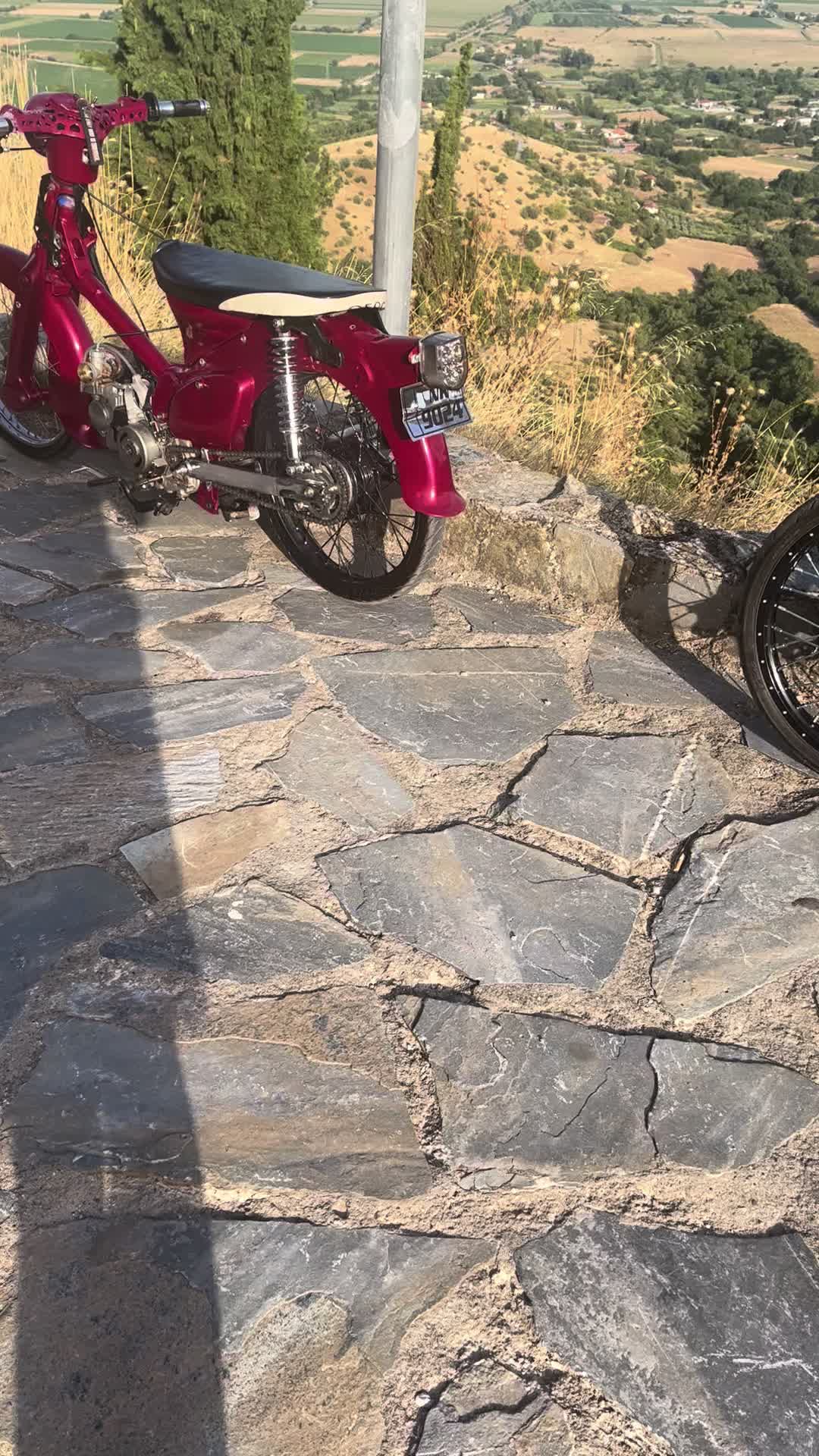 @🦍