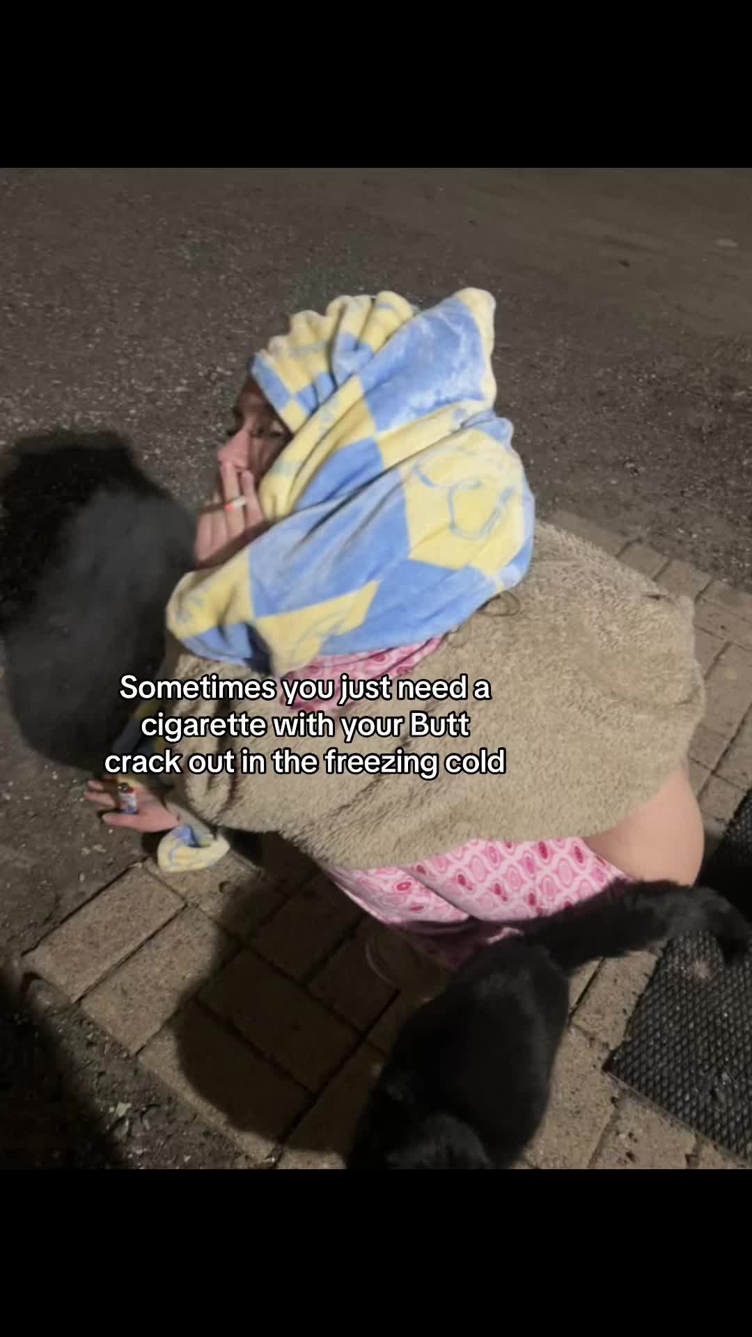 @Gnat🦇