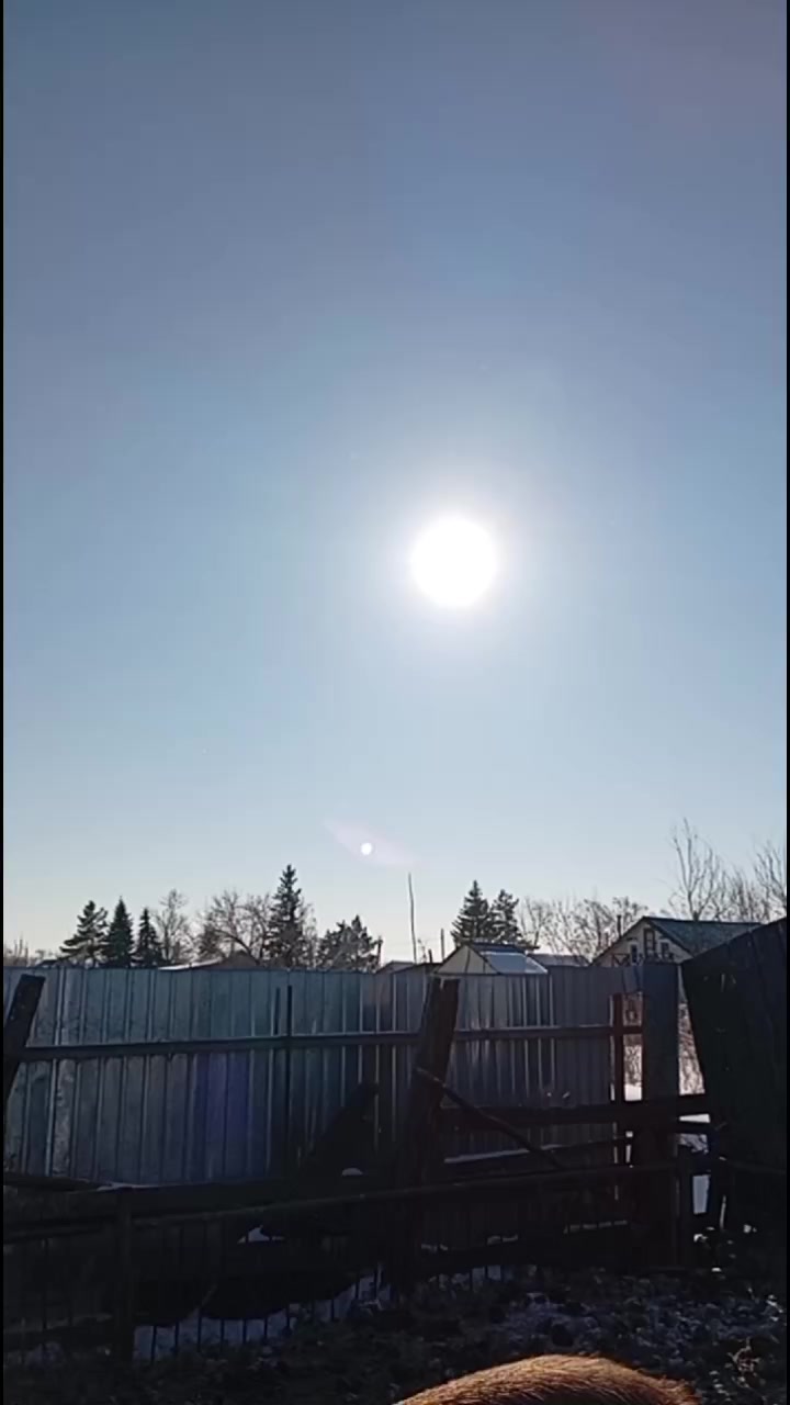 @Алексей Сасин709