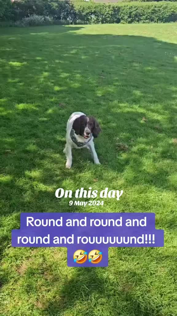 @Lanah