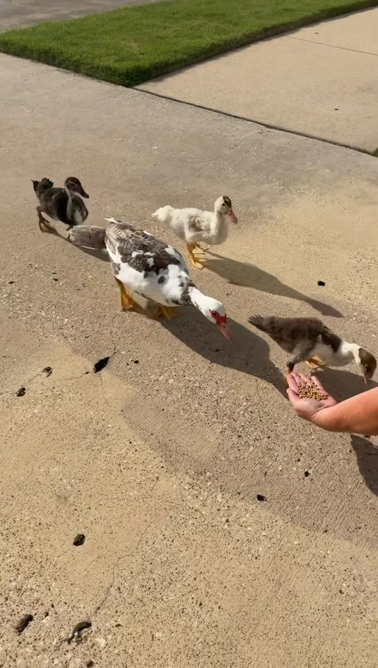 @Cassandra_1891