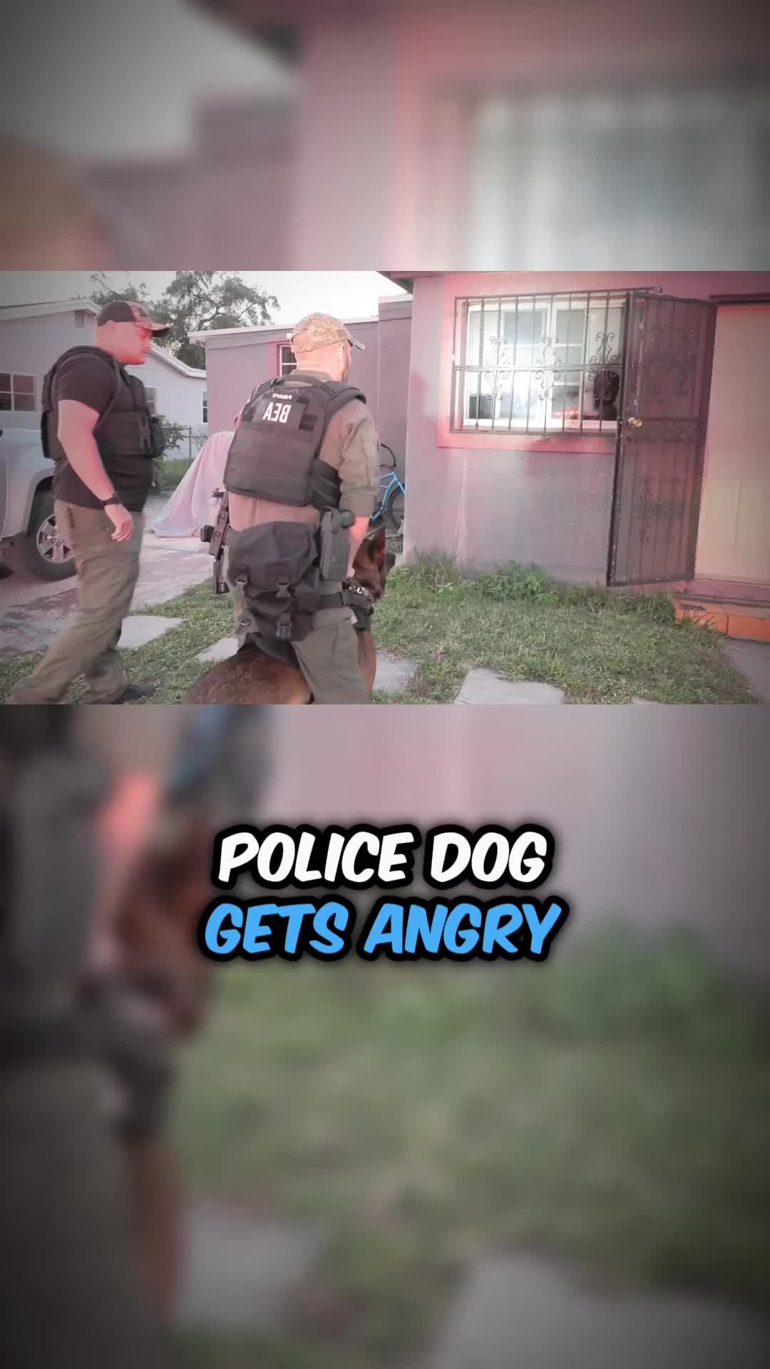 @ToksCops