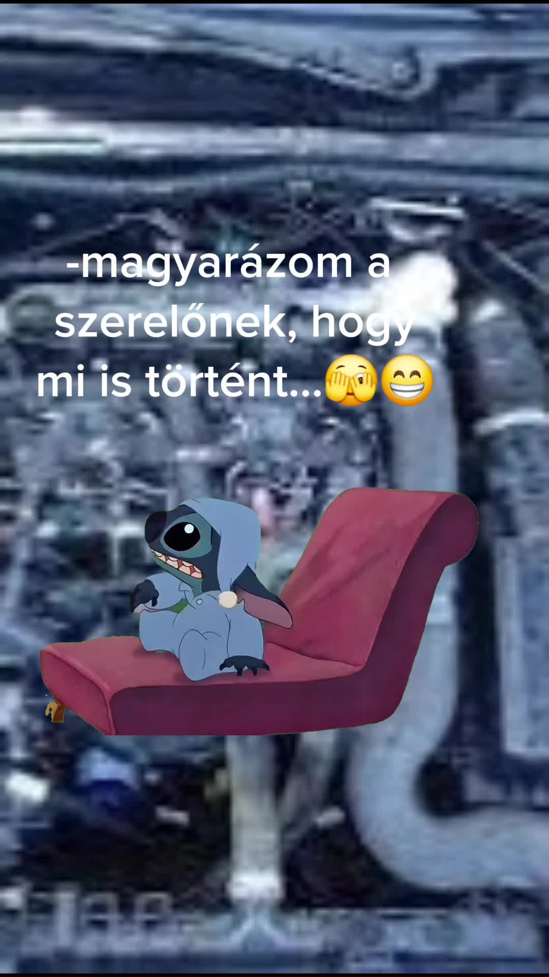 @👑Picisárika👑