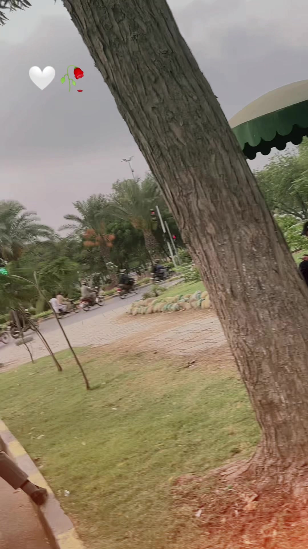 @Haseena🥰