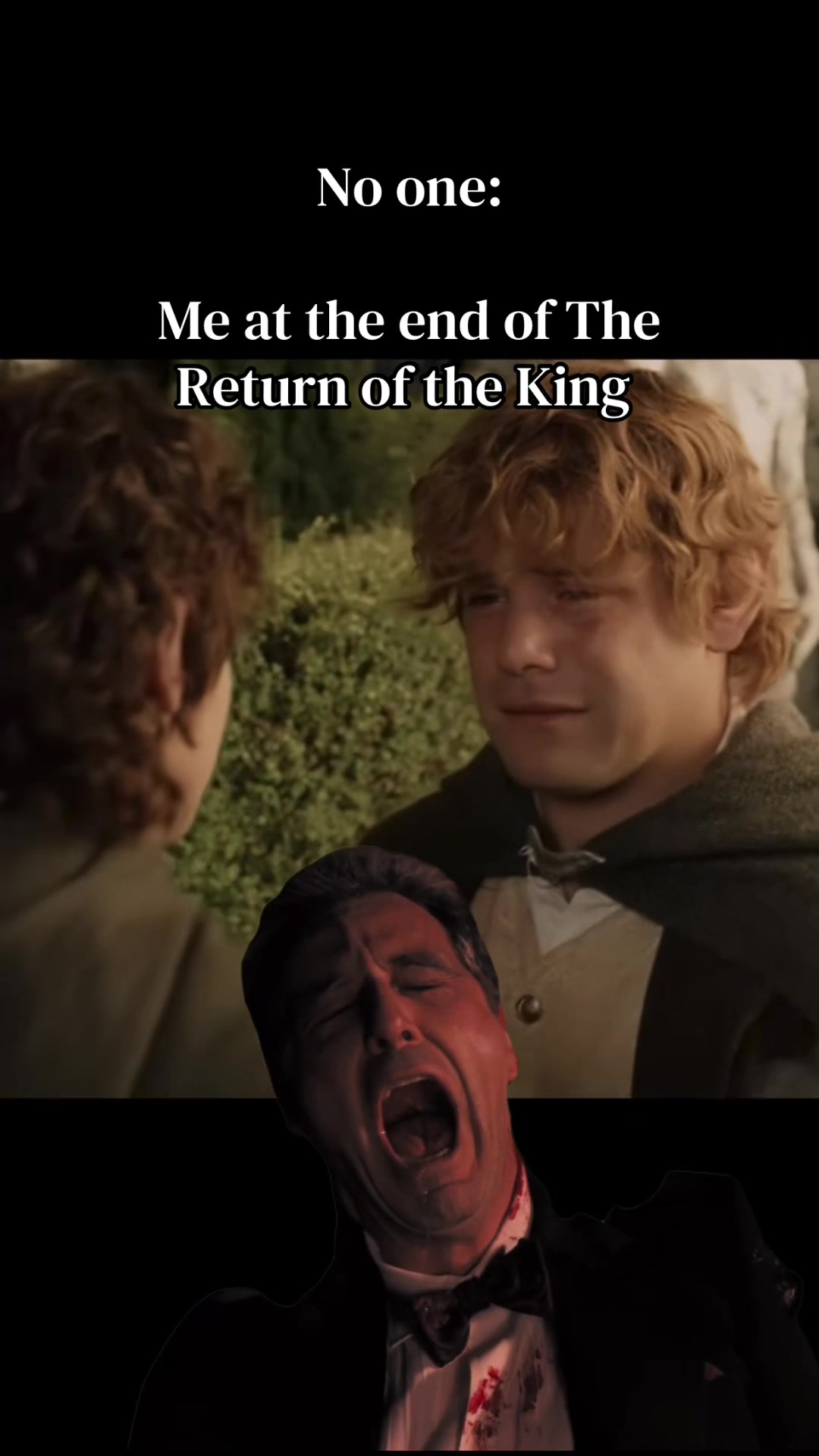 @✨Samwise the brave✨