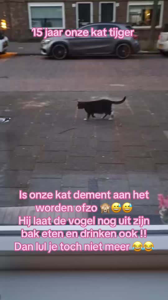 @Belinda