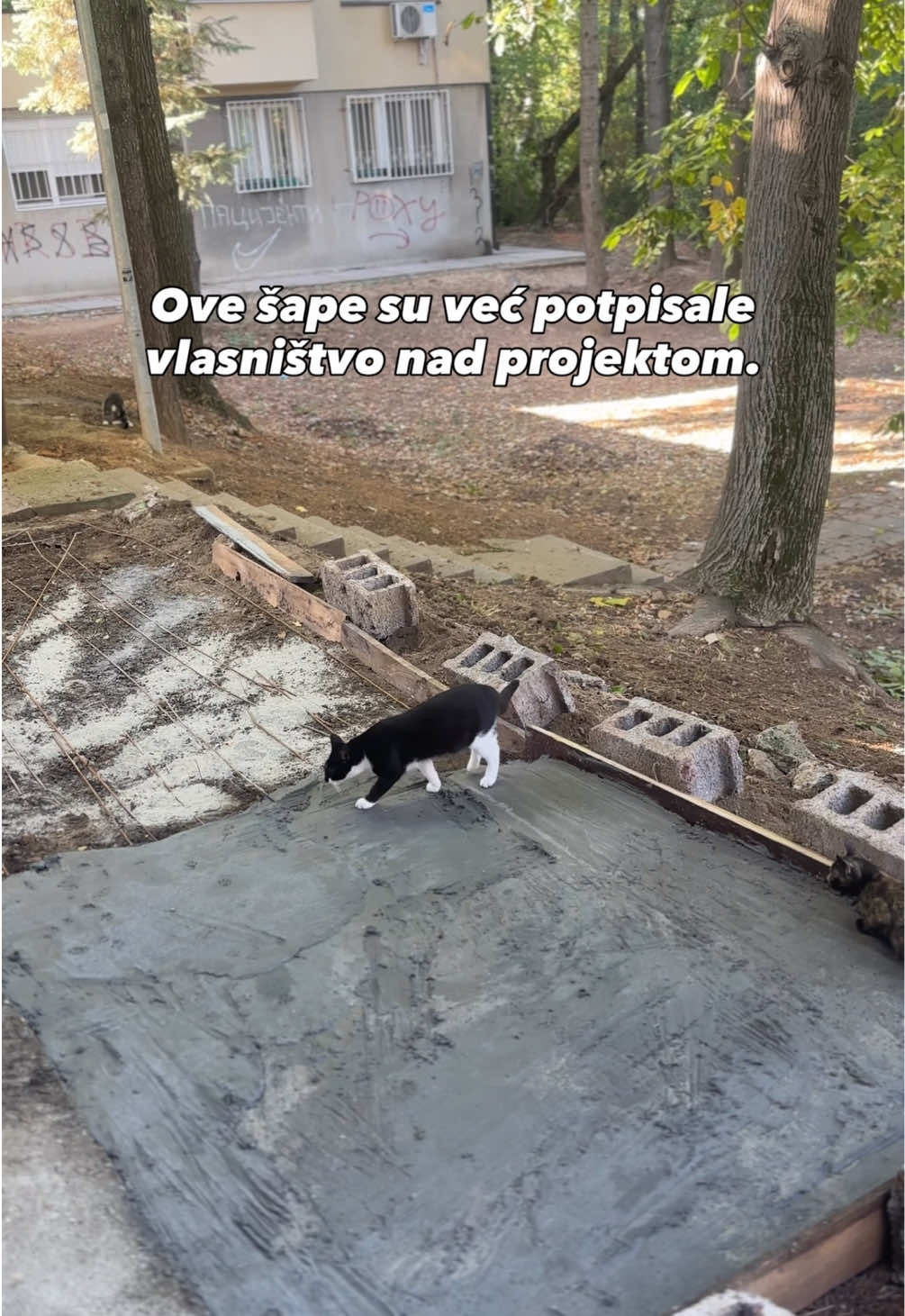 @cosanostrapurr