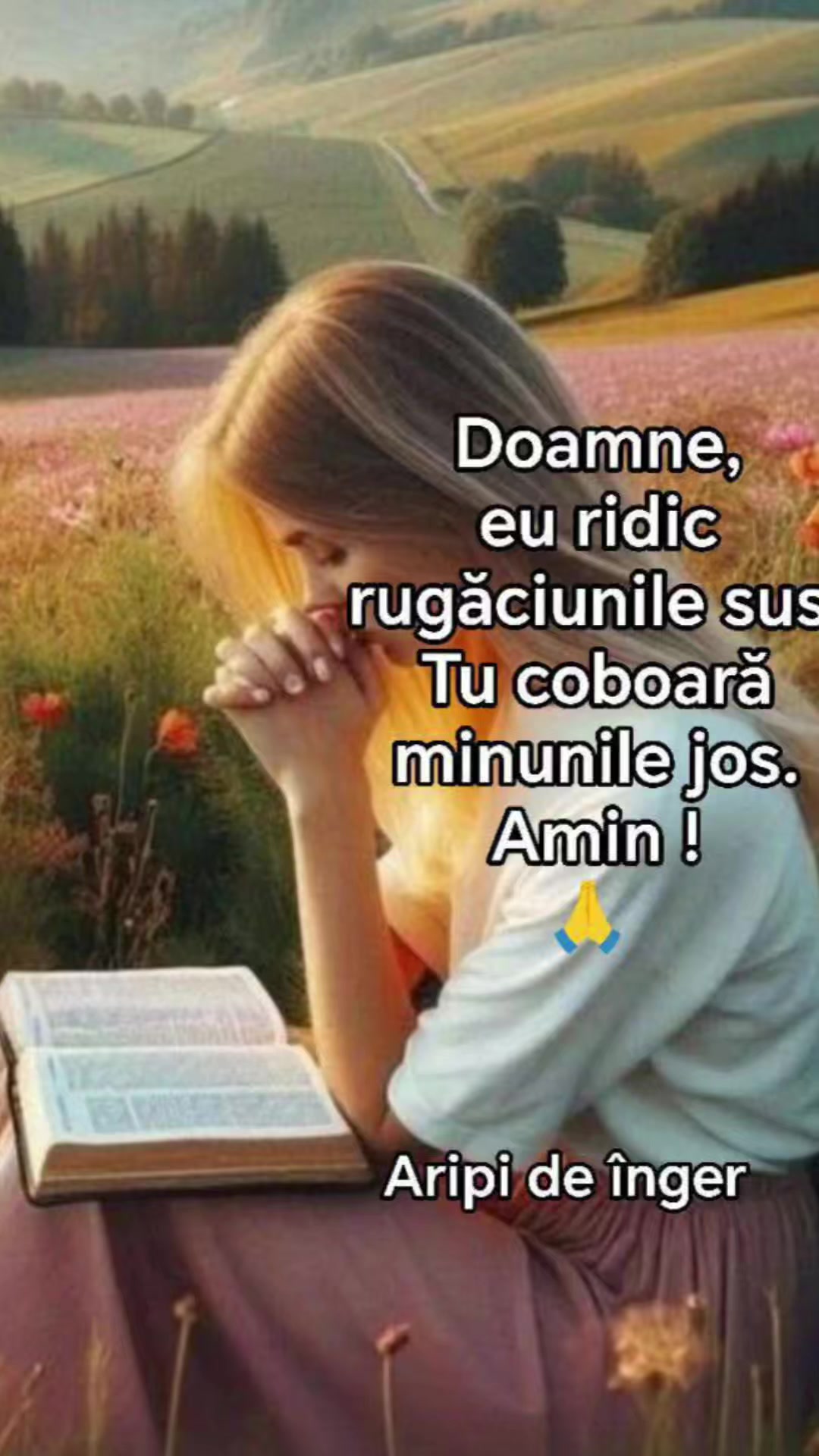 @Paula Paula ❤
