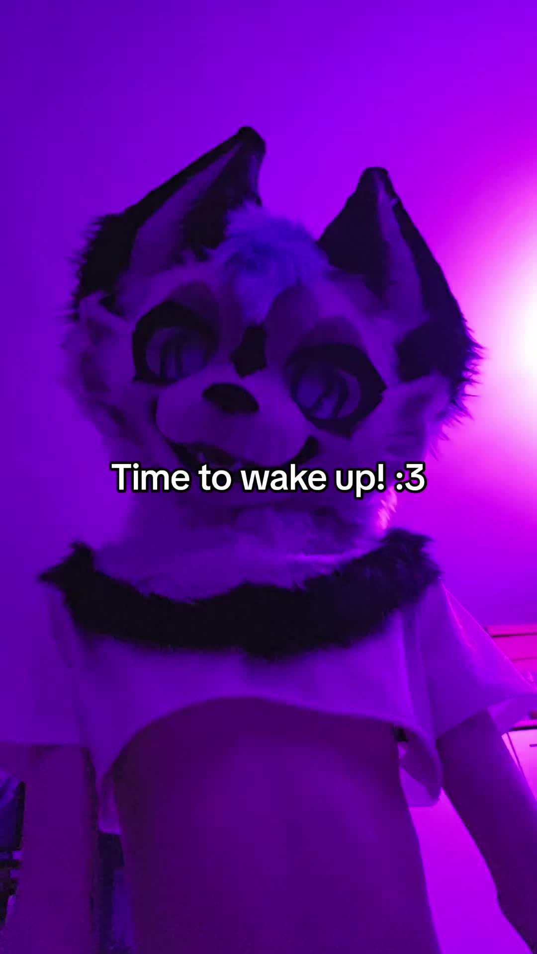 @Maishu Foxx