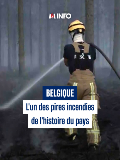 @M6 Info