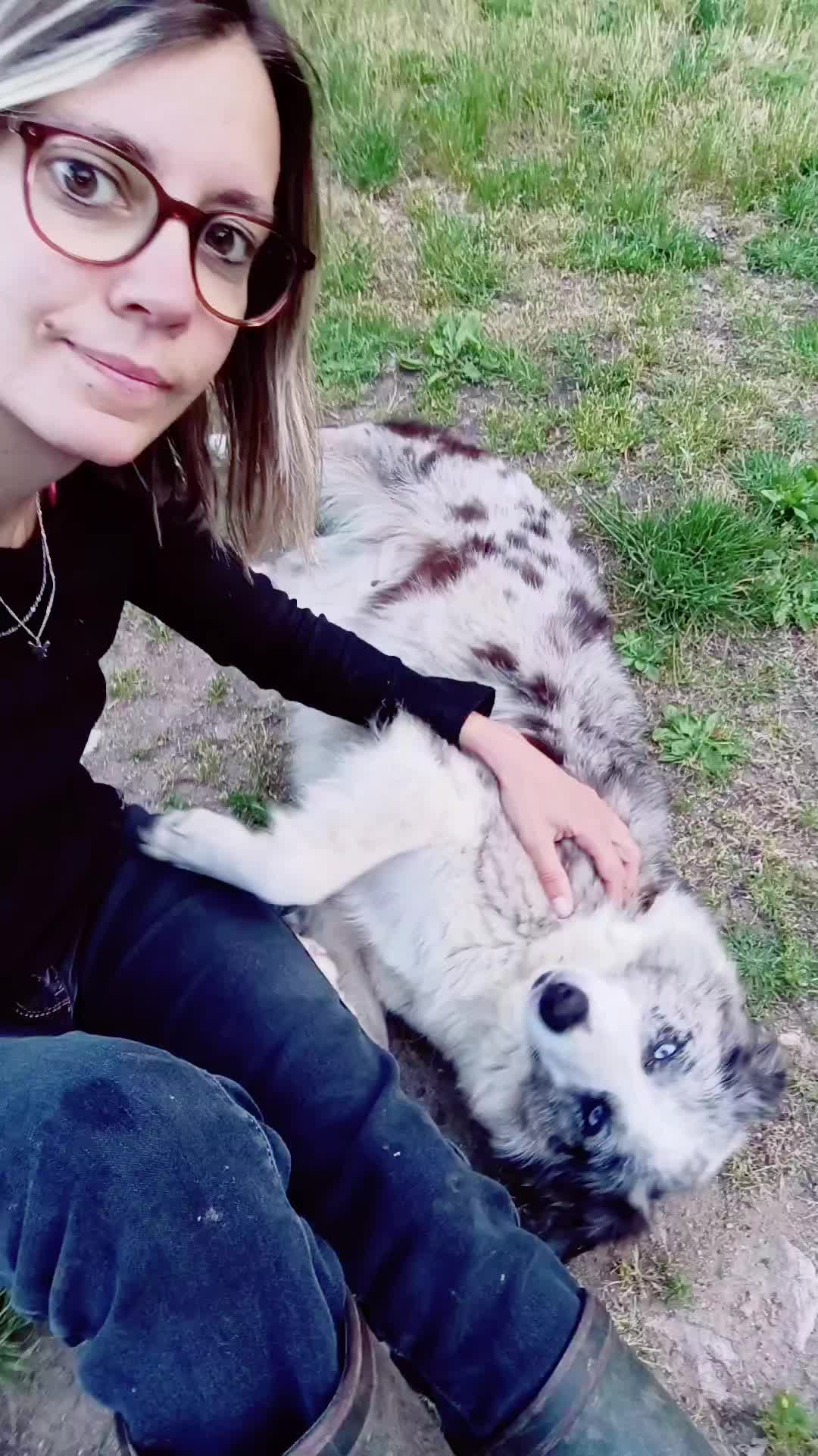 @Ludivine 🐶🐮