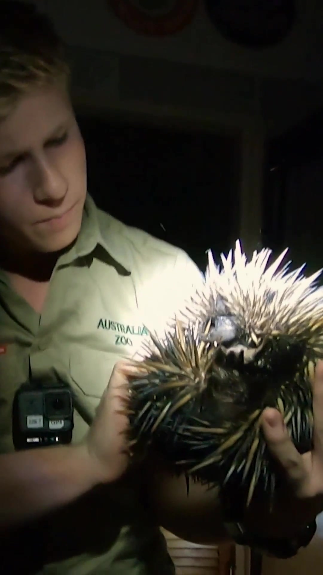 @Animal Planet