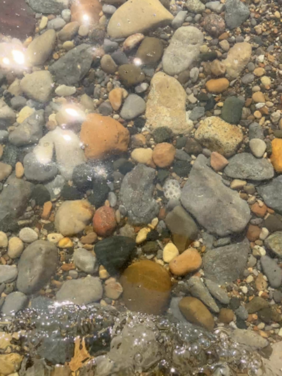 @Michigan Rocks
