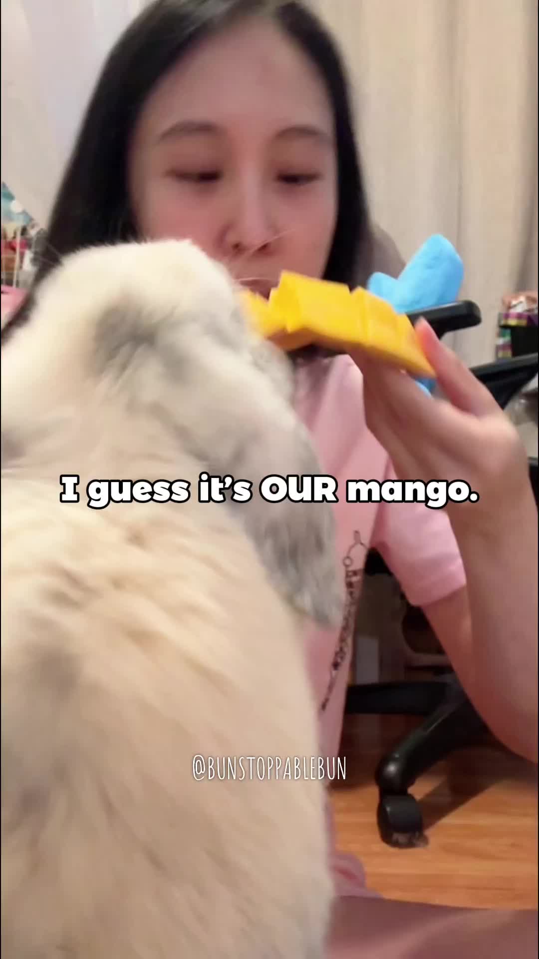@BunBun, Mochi🌈, Chewy