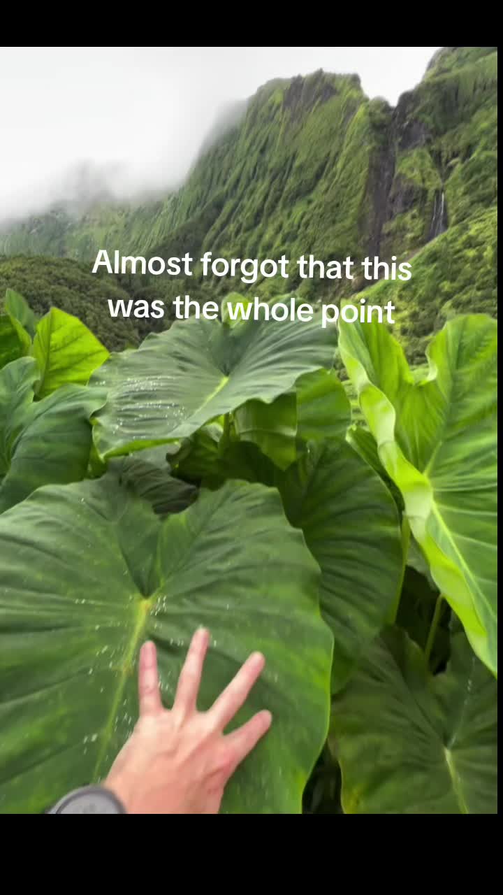 @The.Third.Scroll
