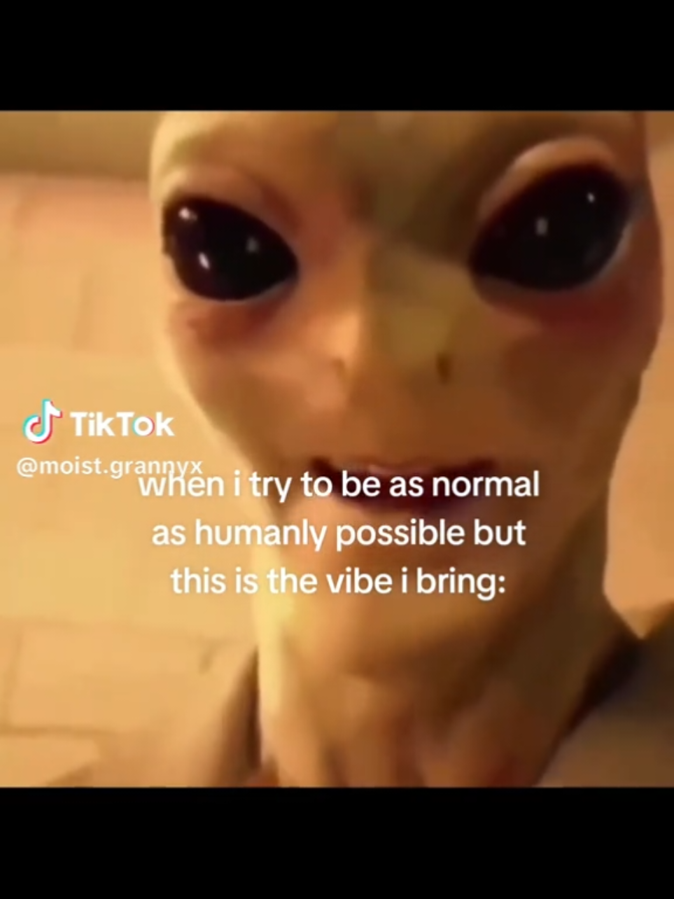 @L.O.R.A