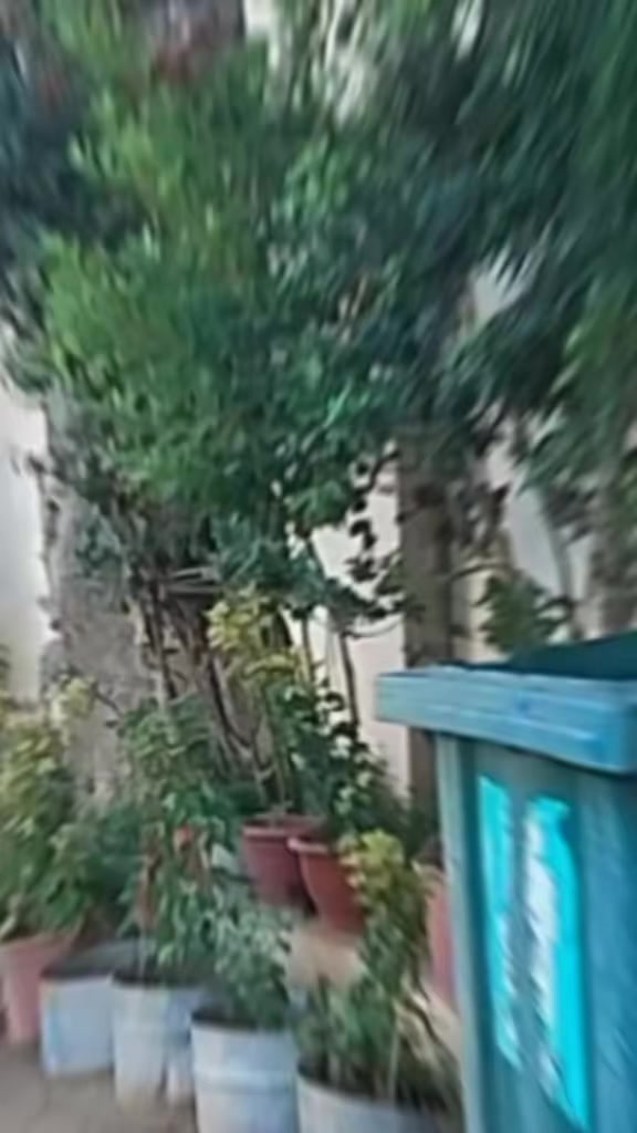 @মোঃদুলাল শেখ