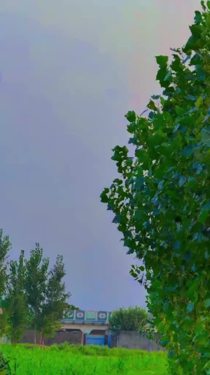 @Aisha🫶