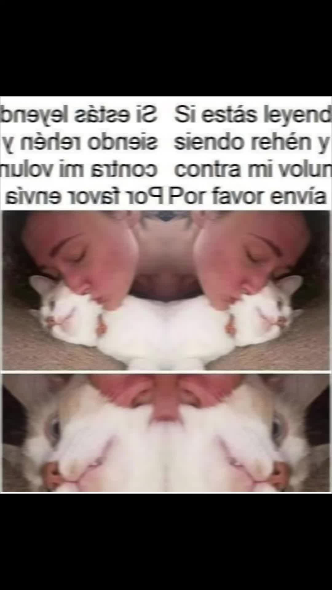 @❤️💛💜Nelo 2.0 🐈&zwj;⬛🐈🙀