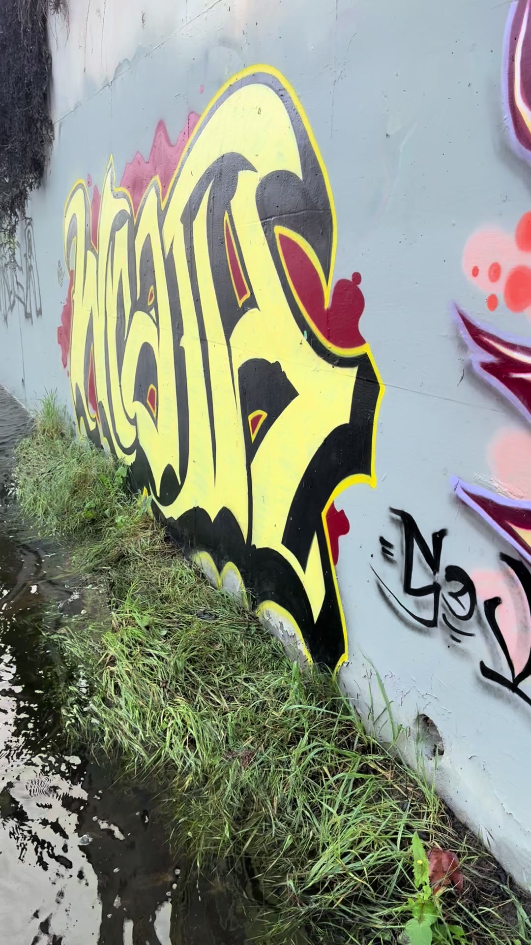 @Nsd.graffiti