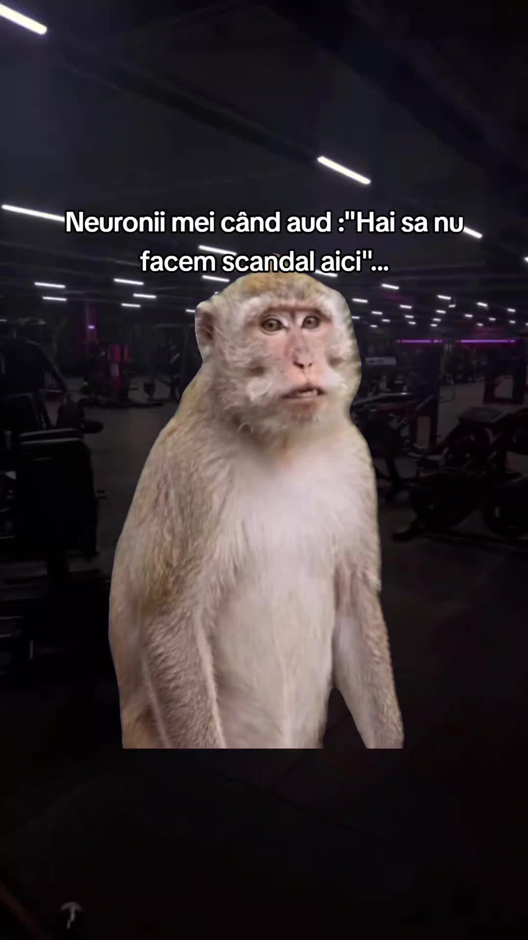 @Raluca