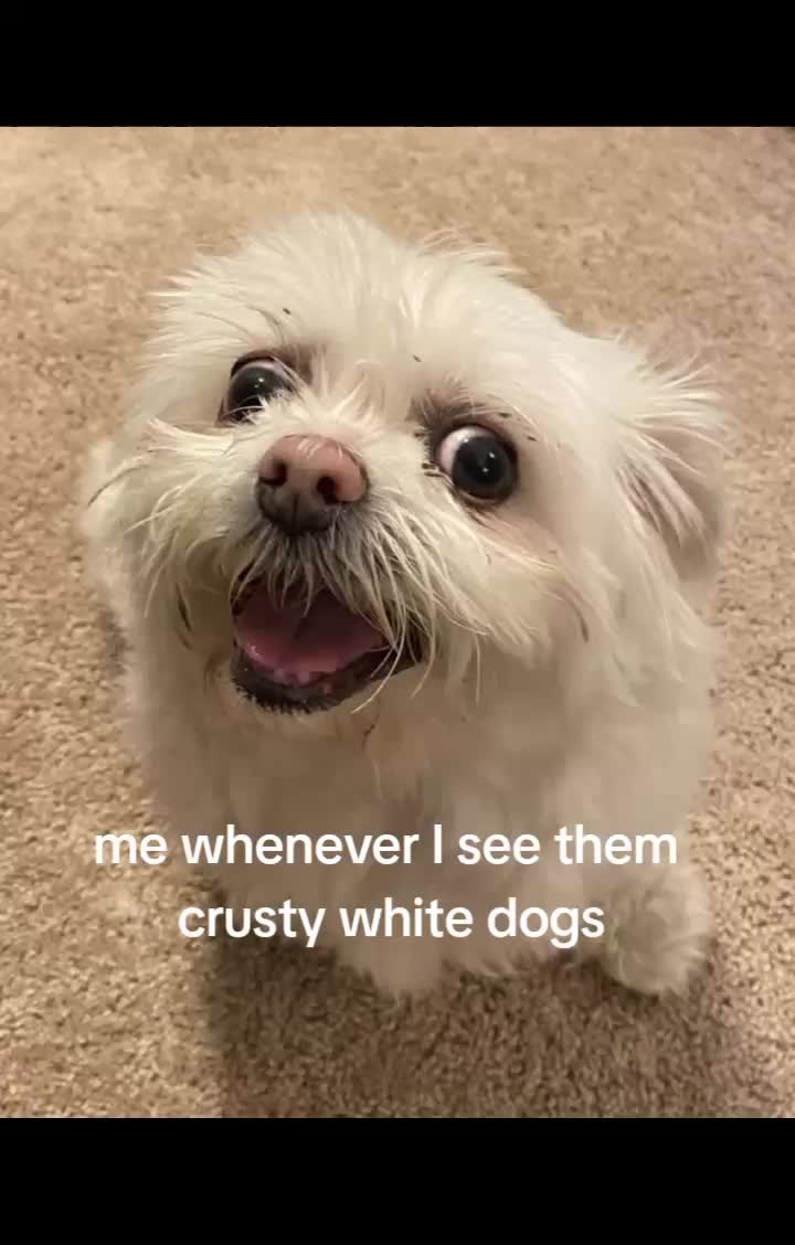 @Spooky