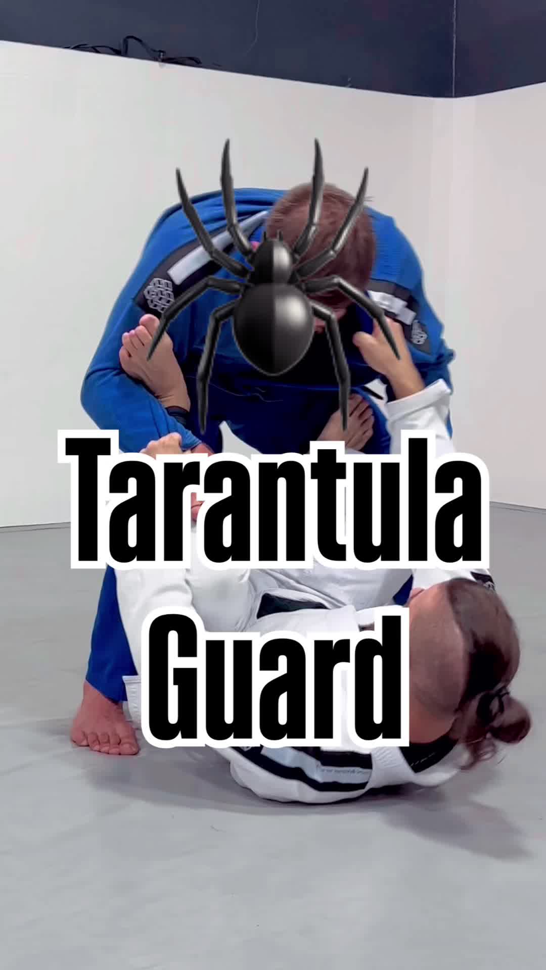 @Benceps BJJ