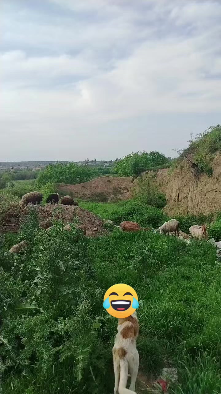 @Саид04