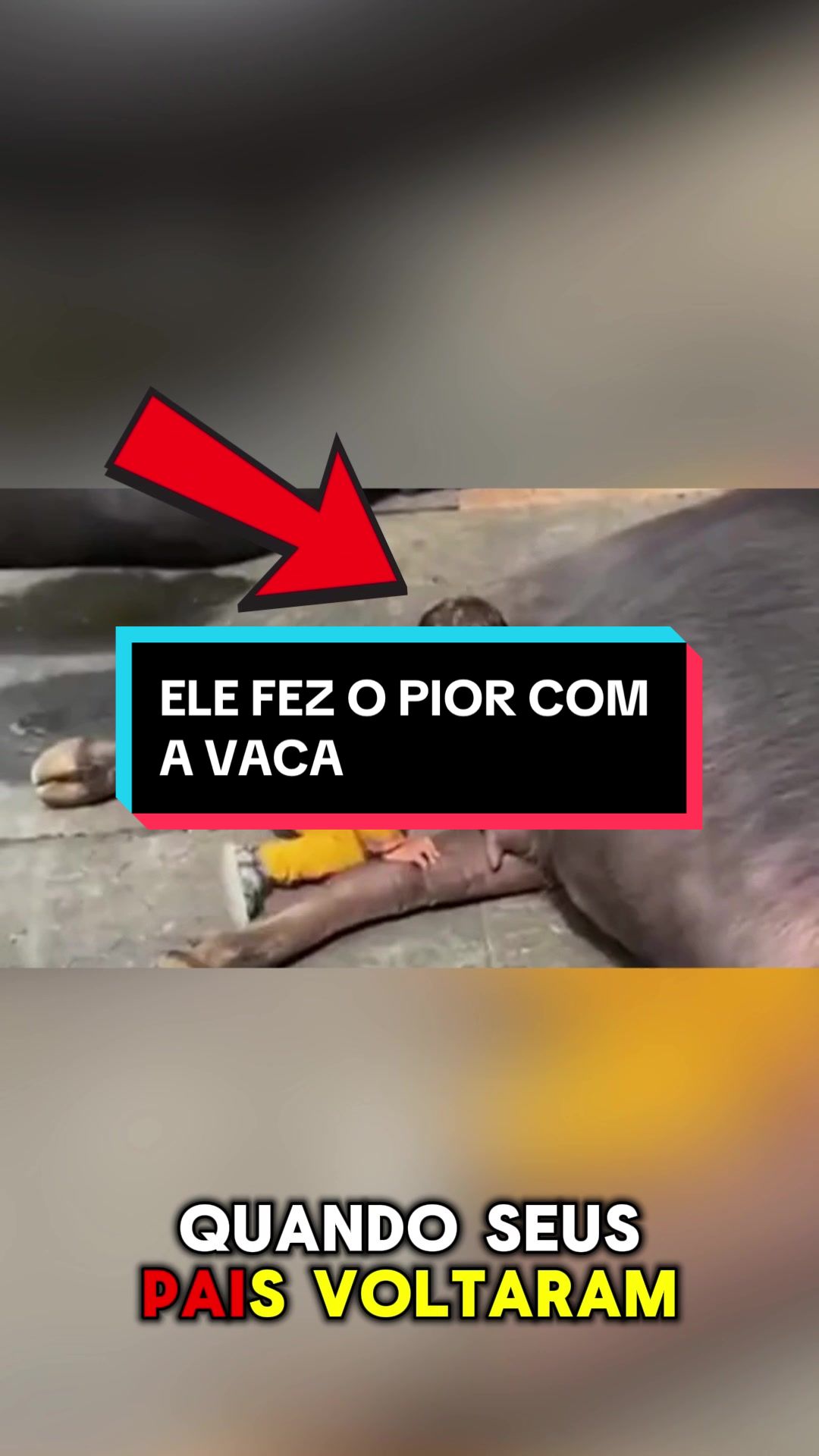 @Teslinha