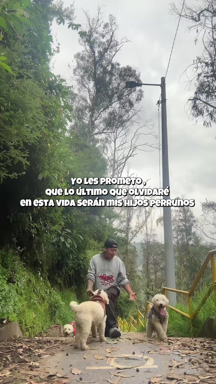 @Lumi.real