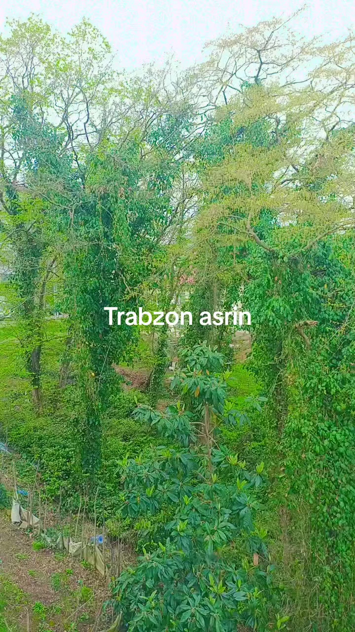 @muratcan3465