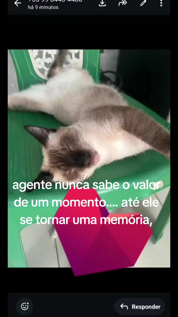 @eu..preta