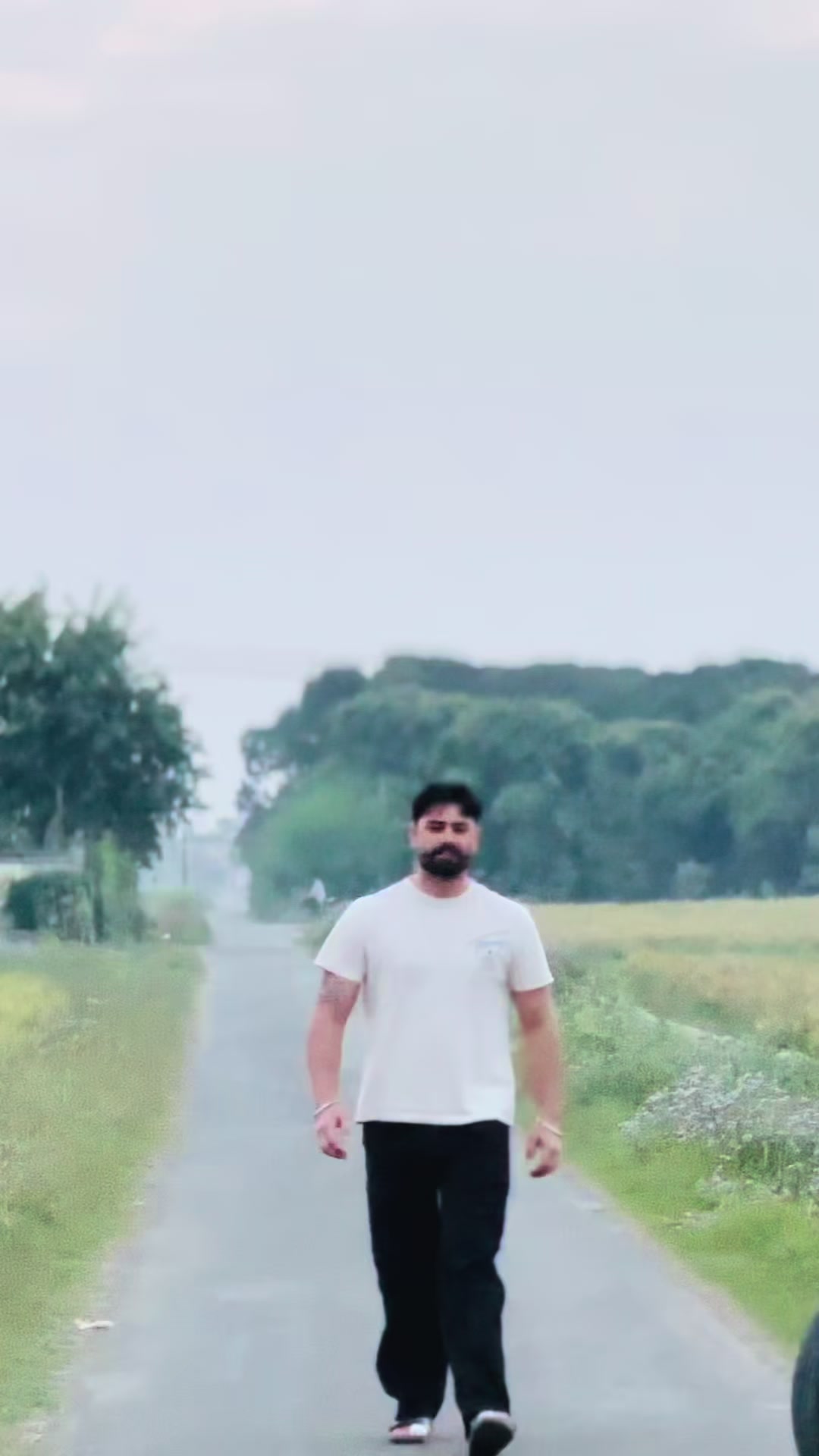 @arsh bajwa