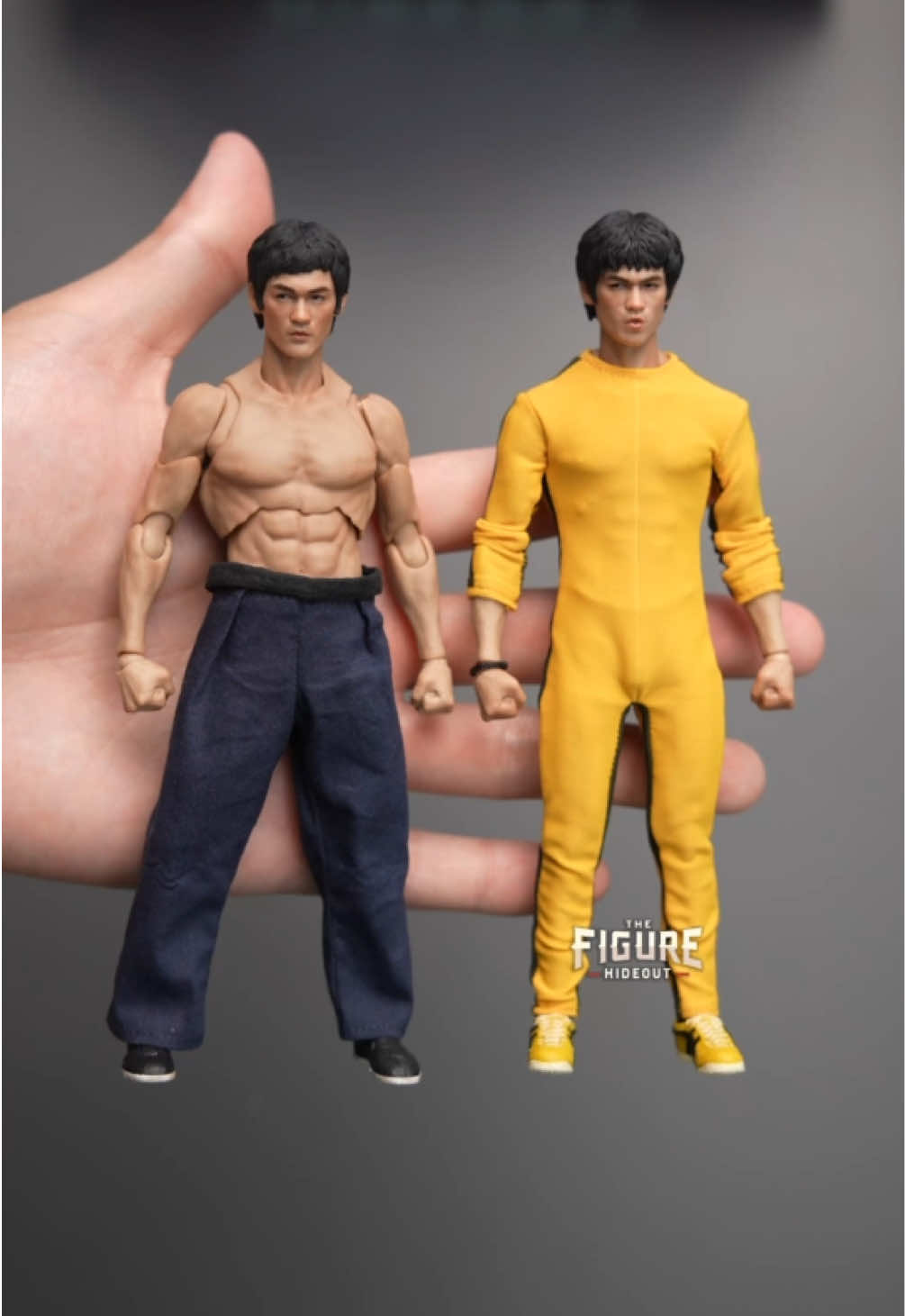 @The Figure Hideout