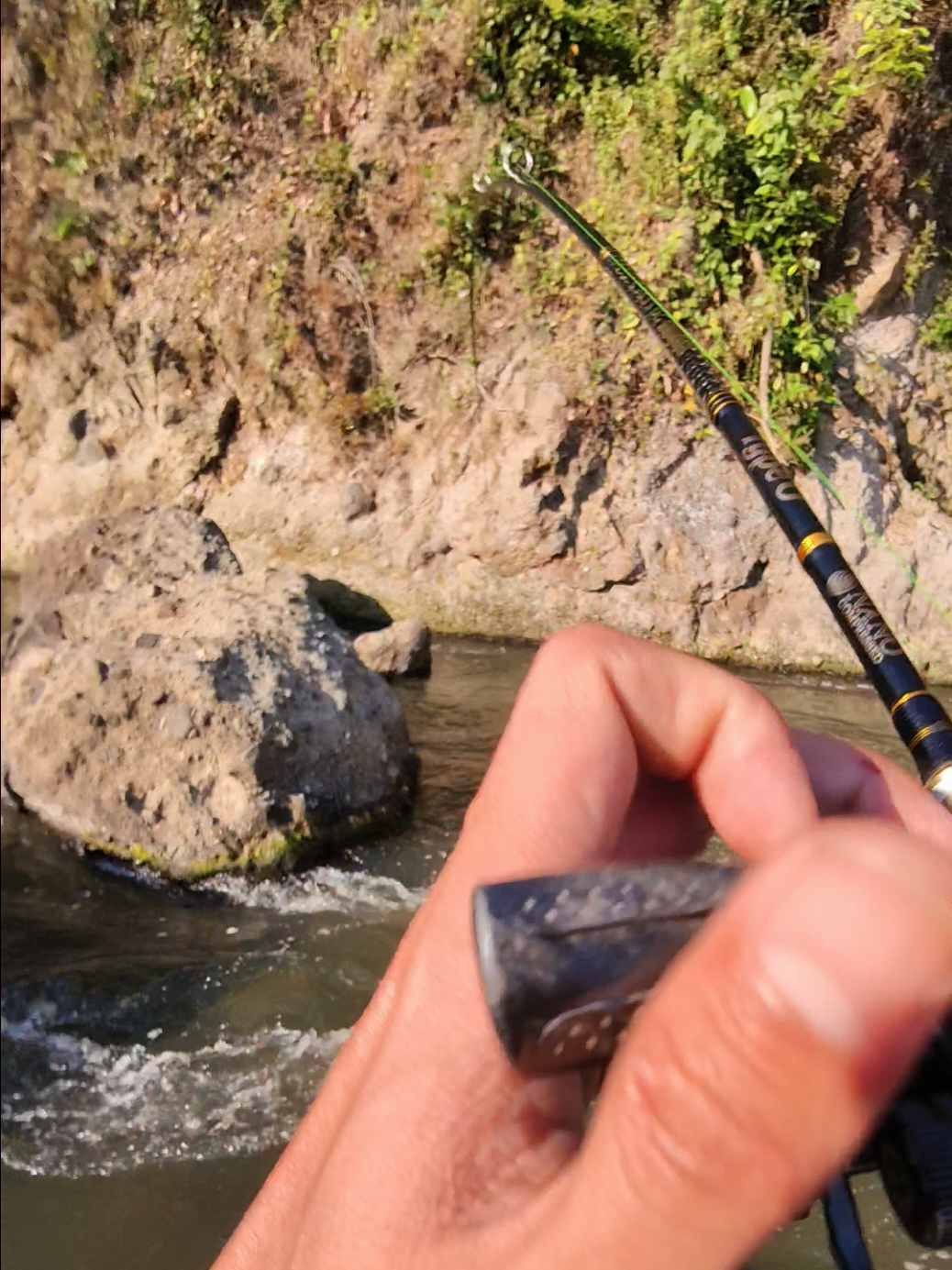 @gustavxfishing