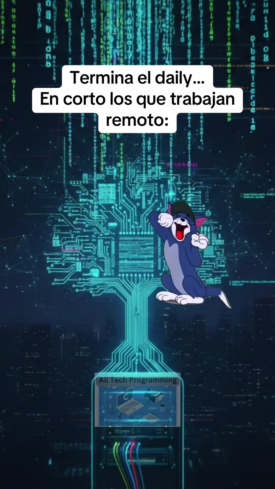 @Ali Tech Programming