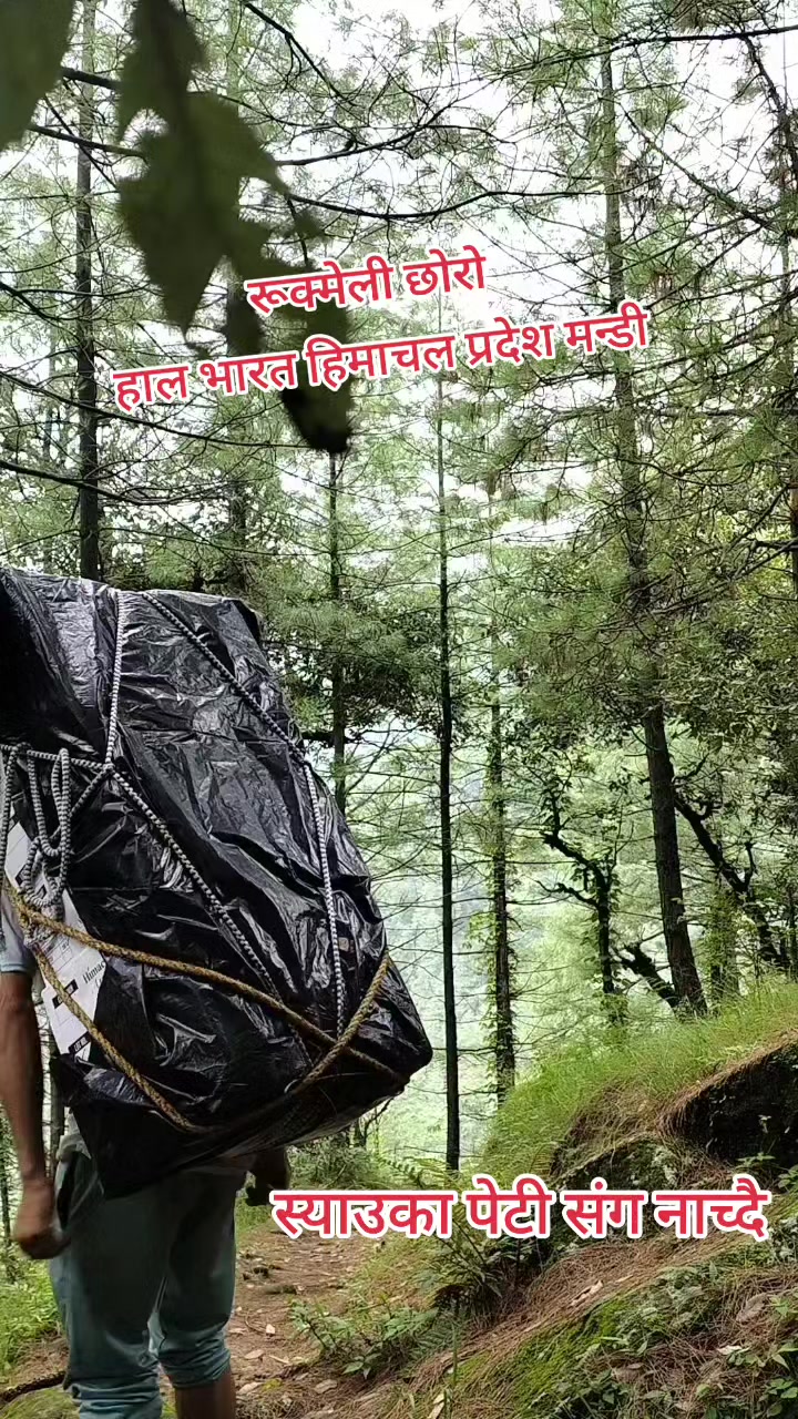 @dilli babu33