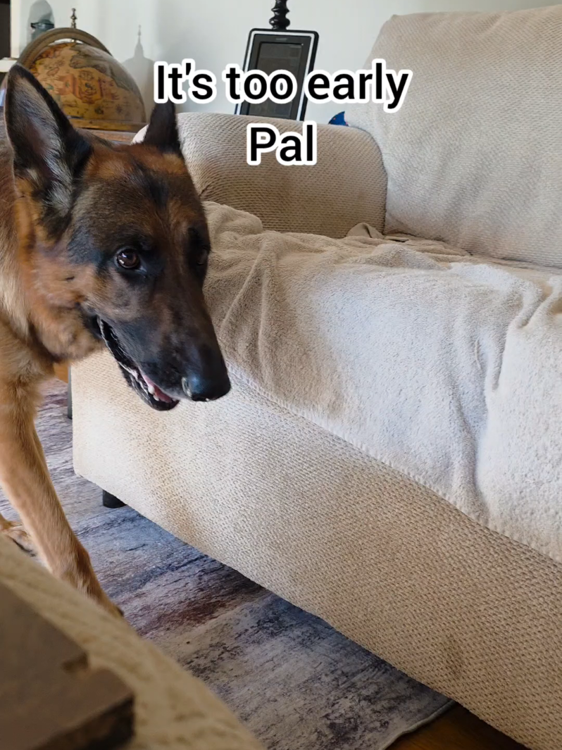 @BuddyandMikes Pal