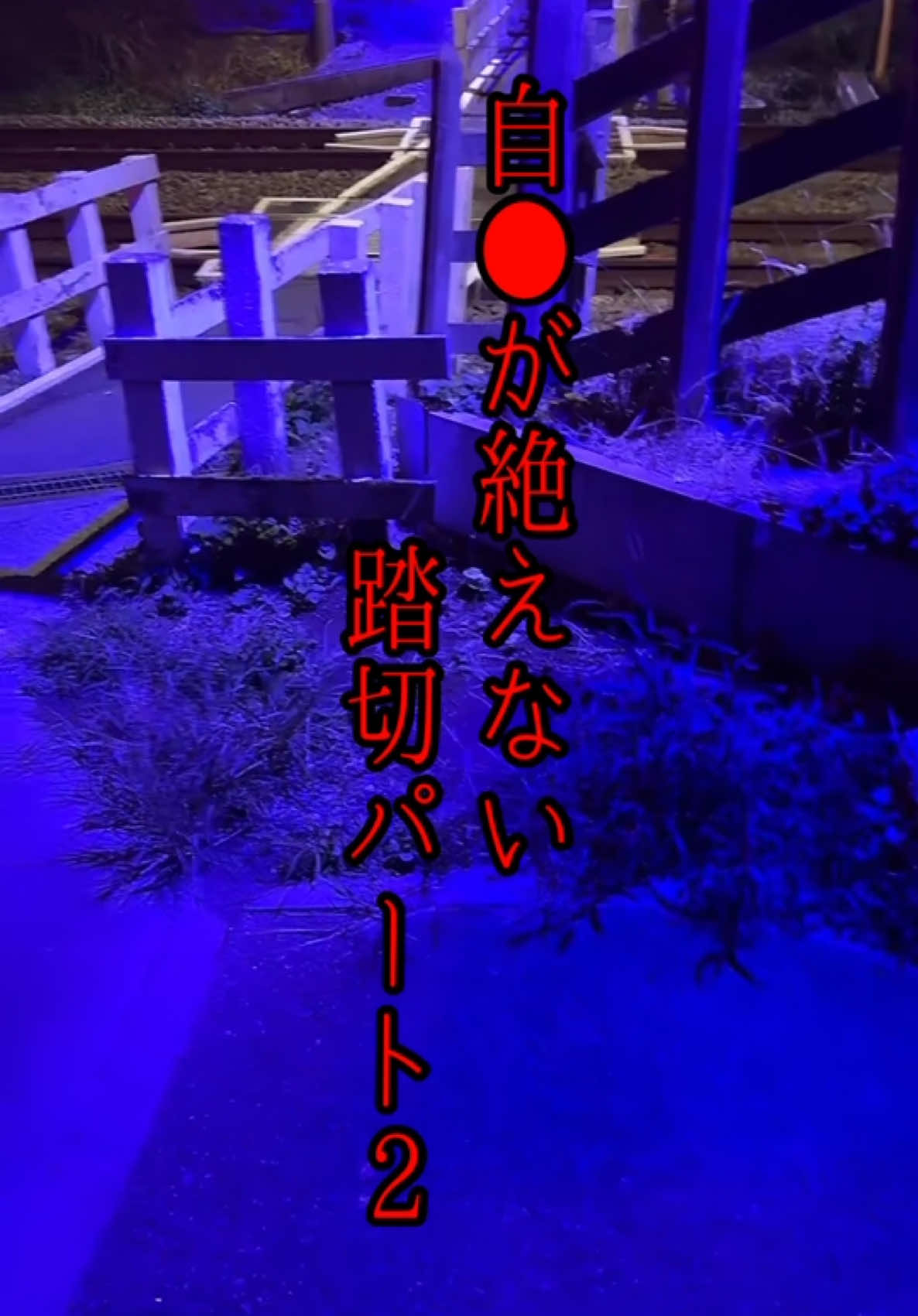 @こうぞう(kouzou)