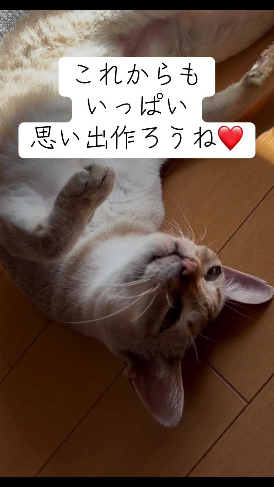 @Singapura_ran