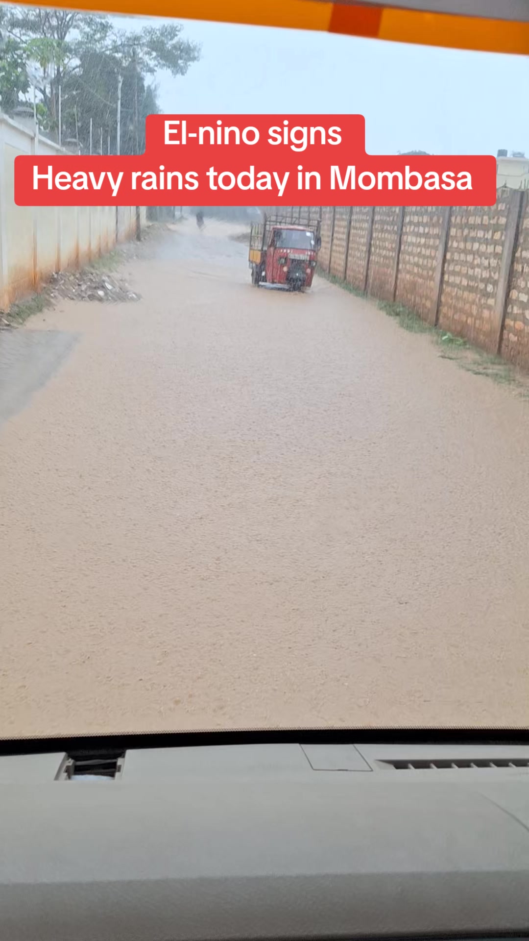 @Grace Yuge