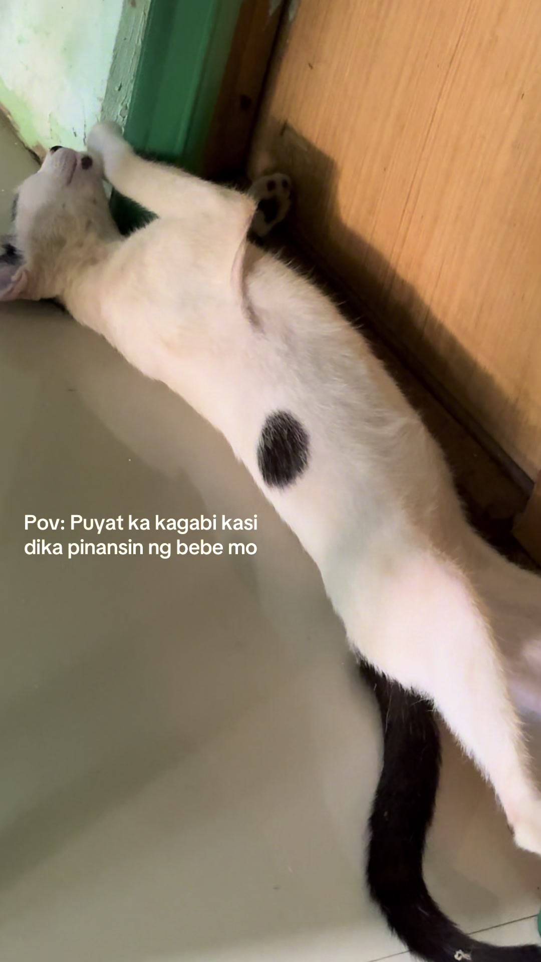 @️
