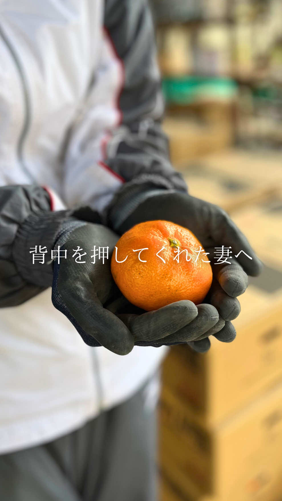 @杉ちゃんのみかん🍊