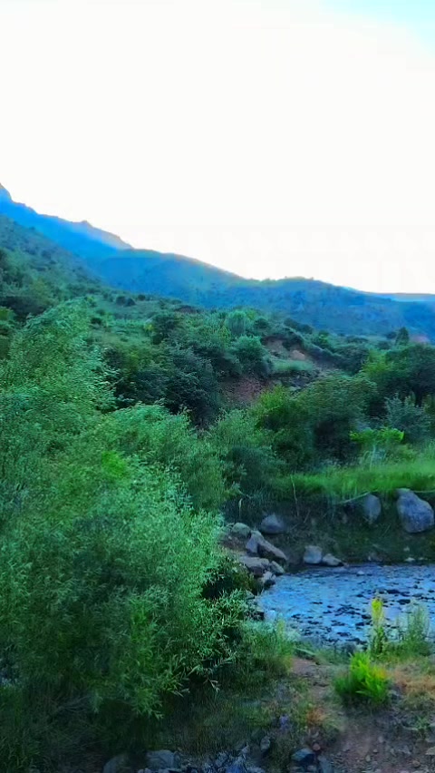 @papatyam_085🪽