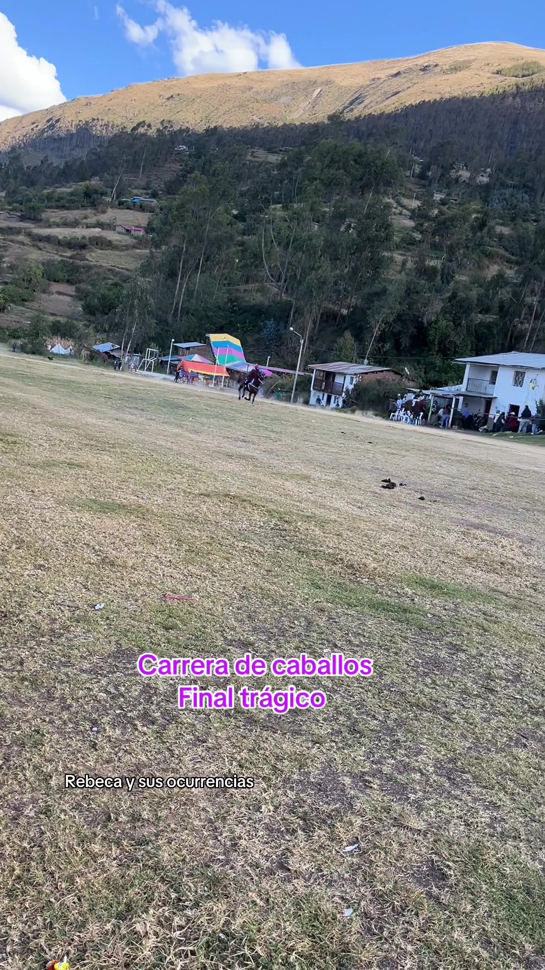 @🐈Rebeca y sus ocurrencias