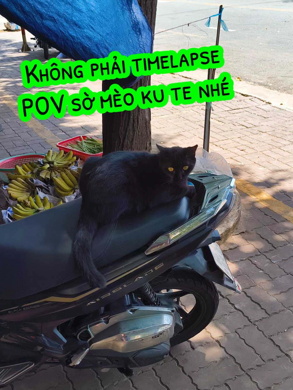 @Nam ghiền timelapse 🗿