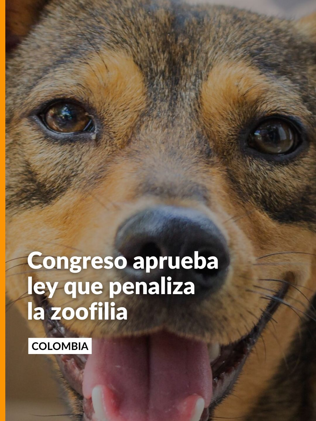 @Noticias Caracol