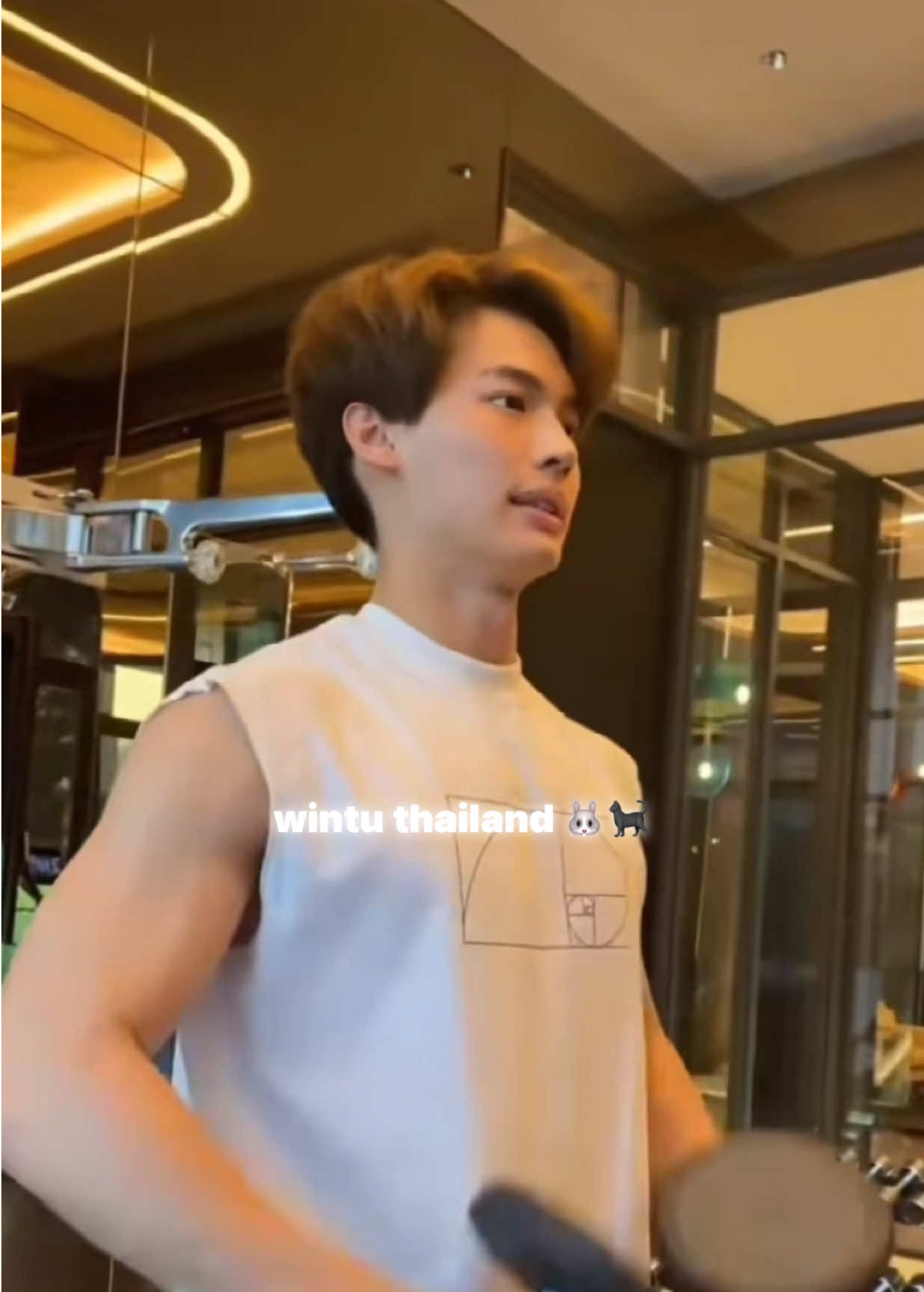 @wintuthailand